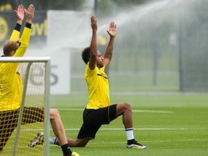 Why is pre-season so important? We find out from a Sport Scientist's point of view 