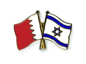 Shaikh Ali said the visit “shouldn’t be taken politically or be misused to diminish the international achievement” of the Kingdom, which was trusted to host the congress among 209 member countries