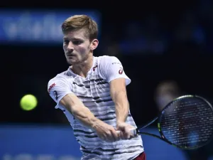 David Goffin