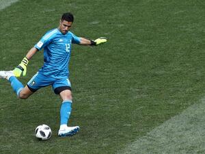 منير المحمدي