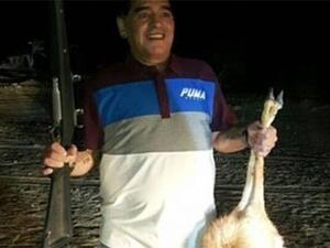 مارادونا يستعرض فريسته