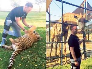 Wayne Rooney played with a tiger and fed a giraffe at a friend’s farm in Al Khawaneej during a short trip to Dubai last week (source: Animal Farm)