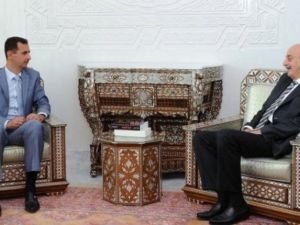 جنبلاط والاسد