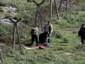  أكثر من 24 شخصا أصيبوا مساء السبت بعد أن فتحت القوات السورية النار