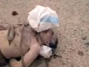 المشفى الوطني في محافظة حمص استقبل الثلاثاء 19 جثة مجهولة الهوية