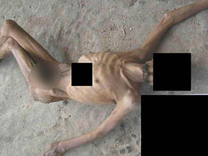 عن السي ان ان 