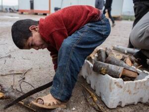 طفل سوري يقطع حطبا وجذور للتدفئة في مخيم بالقرب من مدينة اعزاز شمالا/أ.ف.ب