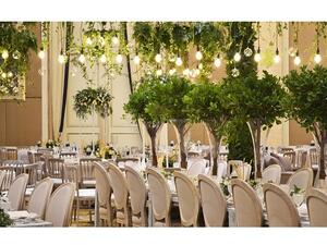 ستبدأ رحلتكم نحو السعادة الأبدية في فندق سانت ريجيس أبوظبي، الوجهة الأمثل للفخامة الأسطورية.