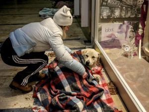 A volunteer tucks a homeless dog into bed for the night at Istanbul's Atrium Mall. (File photo)
