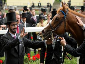The bulk of the subsidies given to Sheikh Mohammed came from a single payment scheme based on land owned rather than how the land is used. (Bloodhorse.com)