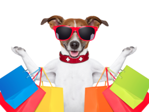 “Our five chihuahuas are not just our pets, they are also our babies,” Demakina adds. /Shutterstock