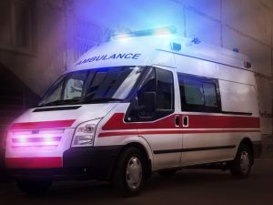 (Shutterstock/ File Photo)