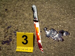 (Shutterstock/ File Photo)