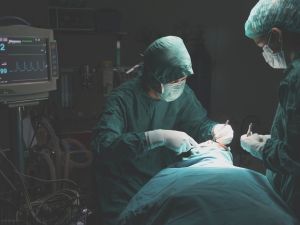 (Shutterstock/ File Photo)