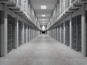 (Shutterstock/ File Photo)