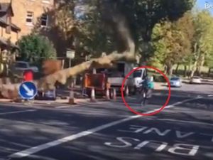 The moment a cyclist narrowly misses being crushed to death by a falling tree on a South London road. (YouTube)