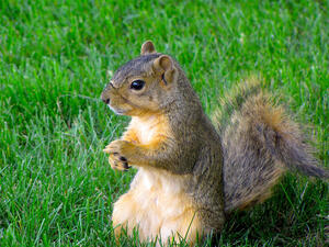 (Shutterstock/ File Photo)