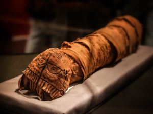 (Shutterstock/ File Photo)