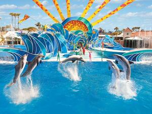 Nearly 100,000 animal rights campaigners signed a petition to protest the opening of a Sea World park in Dubai last year. (Sea World San Diego)