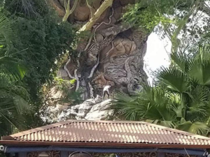 Witnesses said the men made it about a third of the way up the tree before being led away by security staff. /Reddit