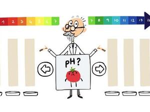 Users can decide if certain items are acidic or alkaline in Google's latest Doodle. (Google Image)
