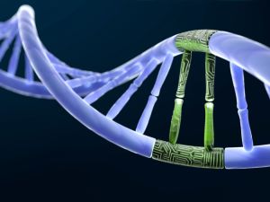 (Shutterstock/ File Photo)