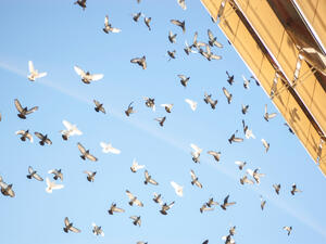 (Shutterstock/ File)