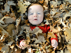 (Shutterstokc/ File Photo)