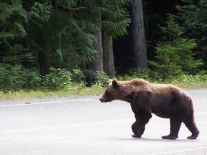 (Shutterstock/ File Photo)