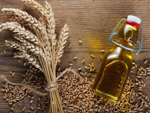زيت جنين القمح يمنع الكثير من الأمراض ويحد من الإجهاد