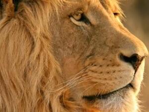 بداية عليك تهيئة بشرتك باستخدام Primer أساس الماكياج
