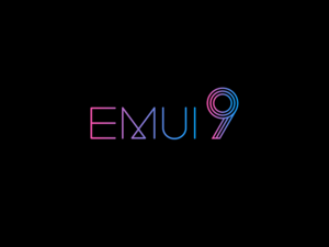 تتضمن الواجهة EMUI 9.0 ميزة Password Vault التي تتيح للمستخدمين تخزين كلمات المرور الخاصة بهم بشكل محلي وآمن.