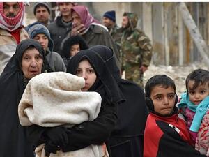 حلب