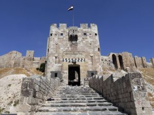 التعاون الإسلامي تدين تدمير "الدولة"  الآثار في سورية والعراق