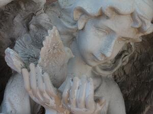 “The man who planned the Paris attacks went to a Catholic school and hung out in cars.” 