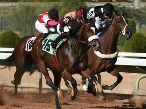 Horse racing at Riyadh's King Abdulaziz Racetrack is one of the few diversions in Saudi Arabia. (AFP)

