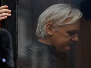 نفى أسانج ومانافورت والإكوادوريون هذه الادعاءات