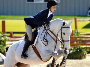 Bella won't be able to compete in equestrian events at the 2016 Olympics due to Lyme Disease. (File photo)