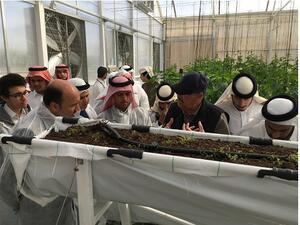 الطلاب يتعرفون من خلال برنامج الأمن الغذائي لحديقة القرآن النباتية على مبادئ الزراعة.