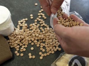 Otherwise known as fenethylline, “captagon” was once used as an anti-depressant in Western countries before it was deemed too addictive (AFP/File)