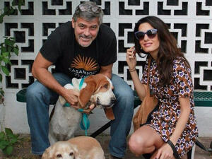 Hollywood star George and Amal Clooney have reportedly bought a multi-million dollar apartment in Manhattan, New York City. (www.zimbio.com)