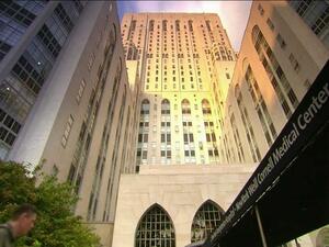 تمّ تدريب وتمكين 36 باحثاً قطرياً من خلال هذا البرنامج الذي انطلق انسجاماً مع الجهود الحثيثة لوايل كورنيل للطب - قطر.