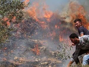 إصابة فلسطينيين خلال مواجهات مع جيش الاحتلال في جنين