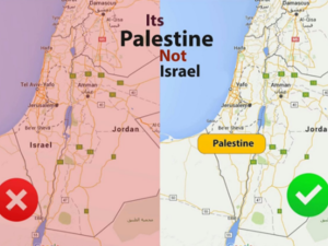  اسرائيل اتخذت كافة الإجراءات الدبلوماسية لعرقلة الطلب