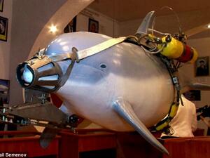 ارشيف/ دولفين موجه يستخدم لغايات التجسس العسكري ويمكنه حمل متفجرات