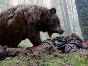 الفيديو نشره الضحية وهو أمريكي يُدعى "تود أور"، من ولاية مونتانا الأمريكية 