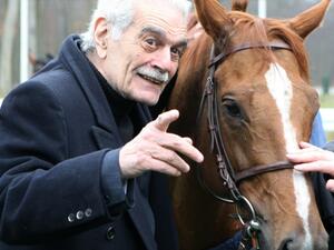 Picture courtesy: paris-turf