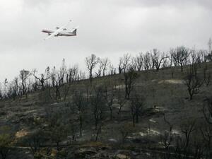 إخلاء منطقة المطاعم فى مطار شارل ديغول
