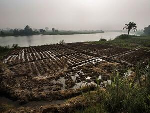 Sudan has banned all agricultural and animal product imports from Egypt amid growing tensions between the two countries. (Gianluigi Guercia/ AFP)