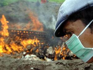 A 22-year-old Egyptian woman became the 12th fatality from the virus this year on Sunday. (AFP/Sonny Tumbelaka) 